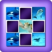 2 player Matching game - marine animals