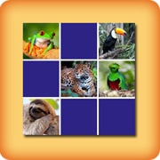 Matching game for seniors - Tropical animals - online and free