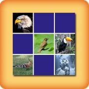 Matching game for seniors - Birds - online and free