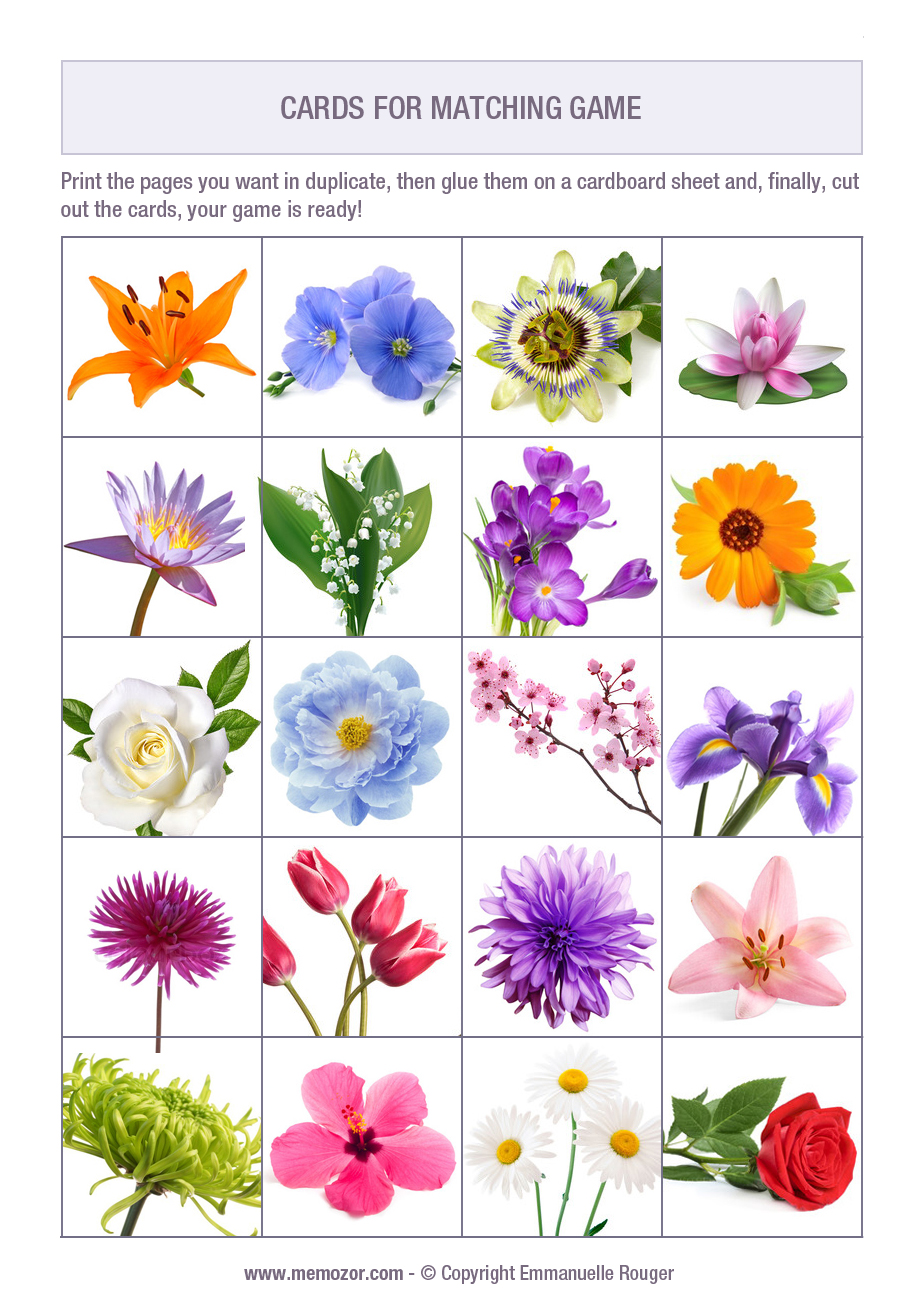 Printable matching game for seniors - Flowers - Print and ...
