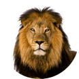 Animal themed Matching games Animal themed Matching games