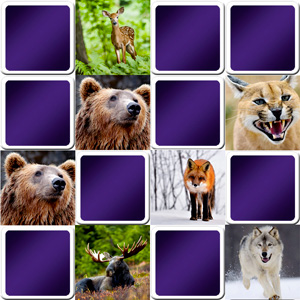 Play matching game for seniors - animals - Online & Free | Memozor