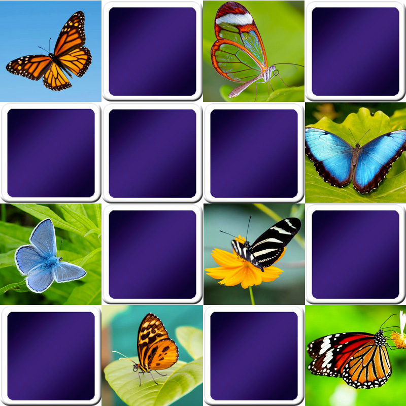 Butterfly Match Game  Play Butterfly Match Game on PrimaryGames